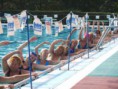 /album/fotogaleria-koupaliste-vadas/cv6-jpg/